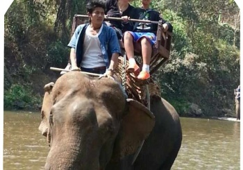 רחלי מור ממליצה בחום