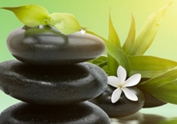 חני שפע מ"שפע בריאות"