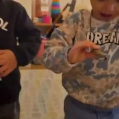 אנשים אוהבים אורגונייט 8 חניאלה